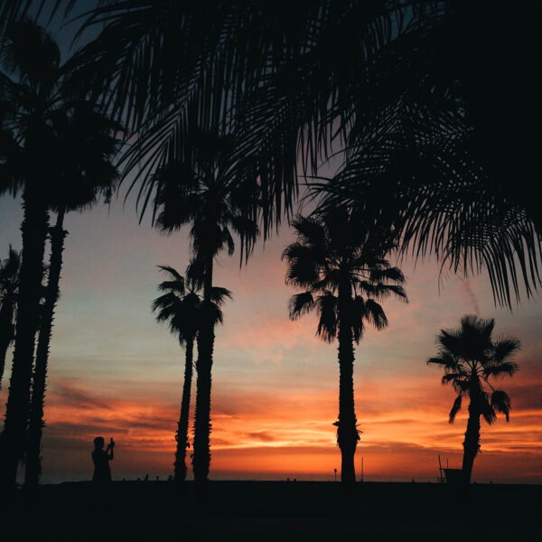 Sunset view from Shutters on the Beach